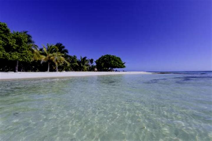 Ellie, 22 — Escort in Silver Creek, Belize