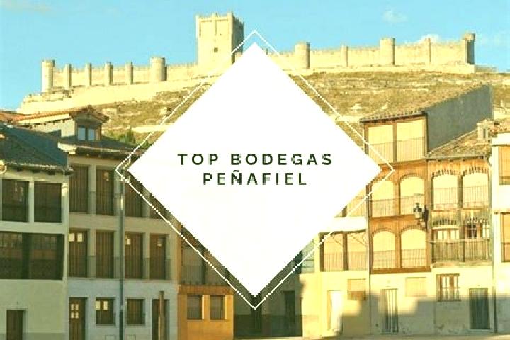 Ellie, 22 — Escort in Torre de Penafiel, Spain