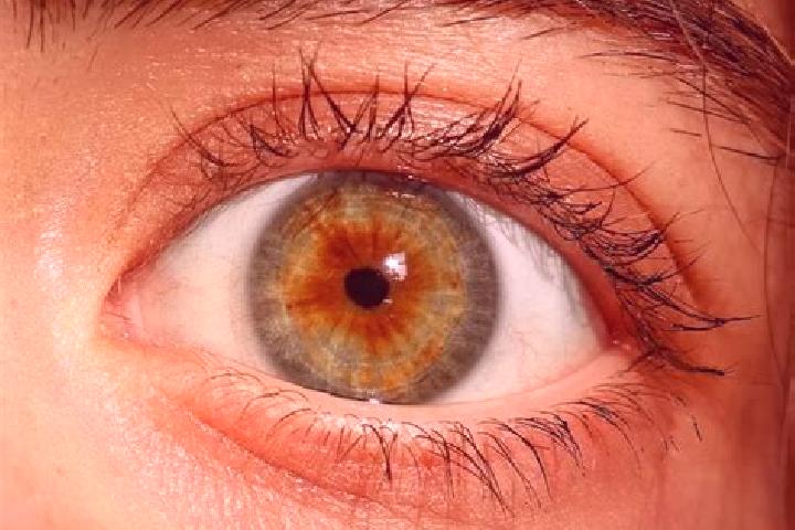 Ellie, 23, a red hazel-eyed european companion based in Caerwys. Offering A-Level, Massage, Roleplay, OWO, BDSM. Available for incall and outcall, day and ev...