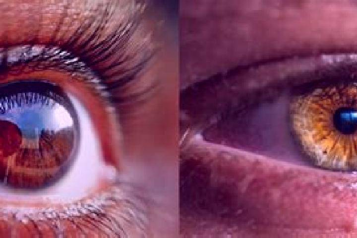 Ellie, 23, a red hazel-eyed mixed companion based in Chattanooga Valley. Offering Roleplay, Duos, Prostate Massage, Party Girl, Domination. Available for inc...