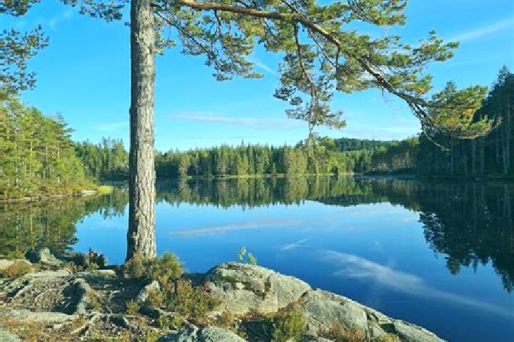 Ellie, 23 — Escort in Hammerdal, Sweden