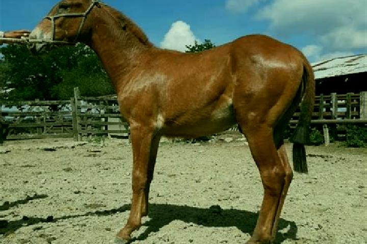 Ellie, 23 — Escort in Magozal, Mexico