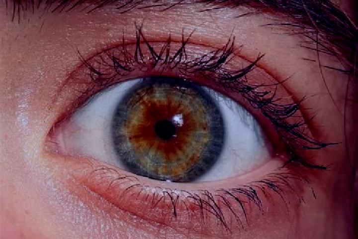 Ellie, 24, a red hazel-eyed ebony companion based in Cocoyotla. Offering OWO, Massage, Party Girl. Available for incall and outcall, overnight bookings avail...