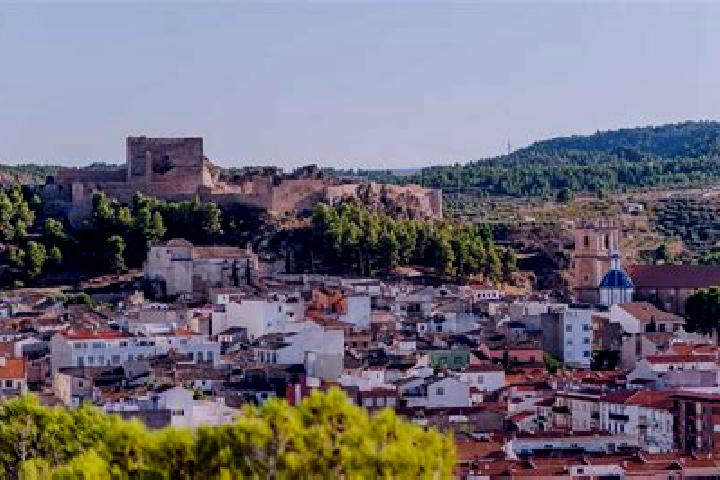 Ellie, 24 — Escort in Ayora, Spain