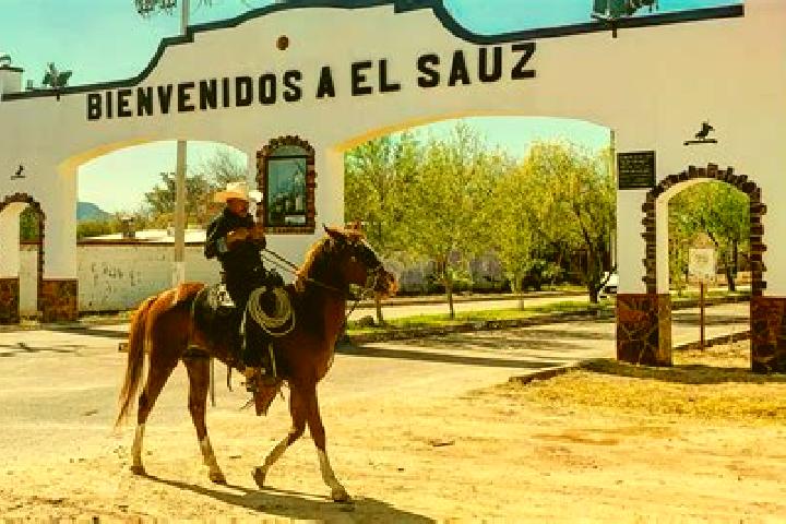 Ellie, 24 — Escort in El Sauz de Abajo, Mexico