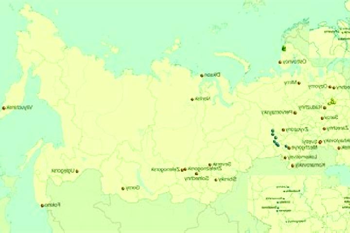 Ellie, 24 — Escort in Grachevka, Russia