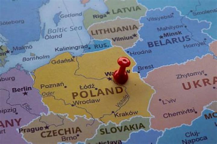Ellie, 24 — Escort in Zalesie, Poland