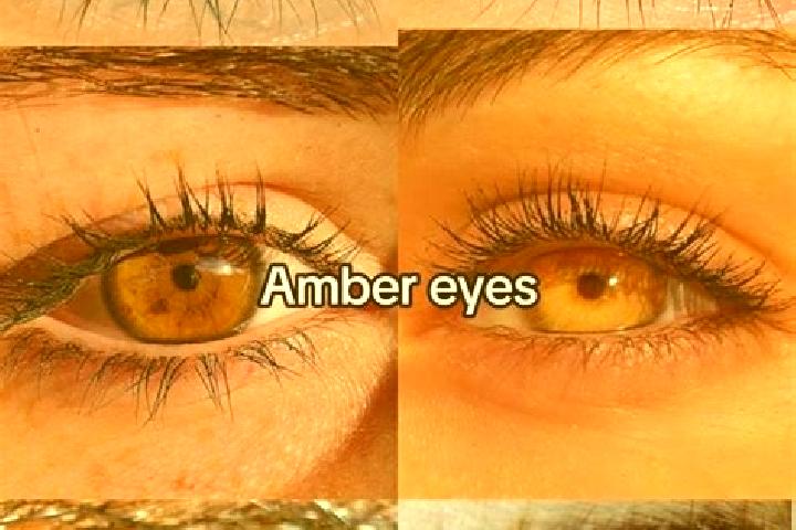 Ellie, 25, a brunette amber-eyed european companion based in Brie-Comte-Robert. Offering OWO, A-Level, Striptease, GFE. Available for incall and outcall, ove...