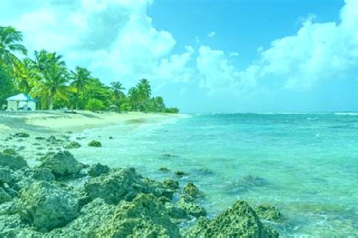 Ellie, 25 — Escort in Anse-Bertrand, Guadeloupe