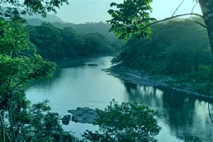 Ellie, 25 — Escort in Rio de Teapa, Mexico