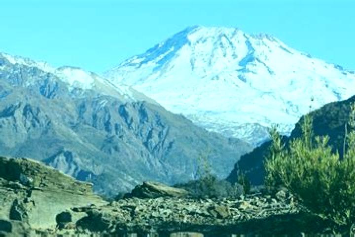 Ellie, 25 — Escort in San Clemente, Chile