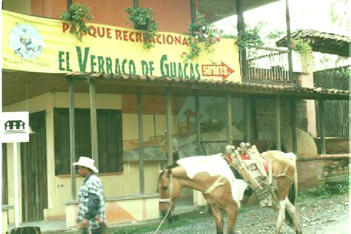 Ellie, 25 — Escort in Santa Cruz de Guacas, Venezuela