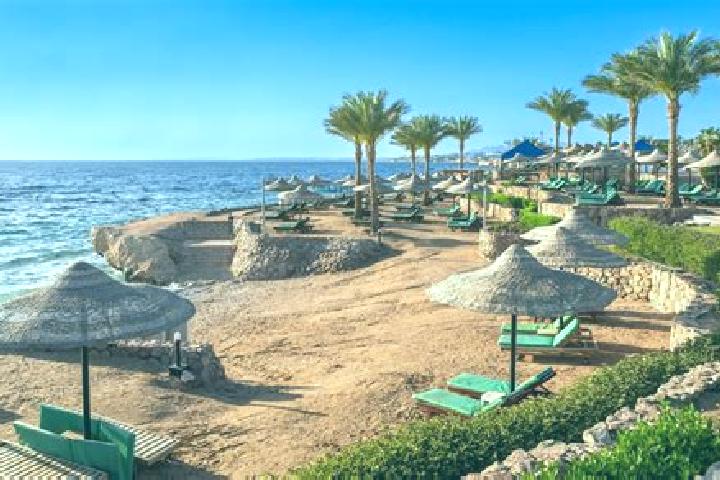 Ellie, 25 — Escort in Sharm el-Sheikh, Egypt