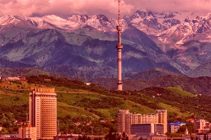 Ellie, 25 — Escort in Tarki, Russia