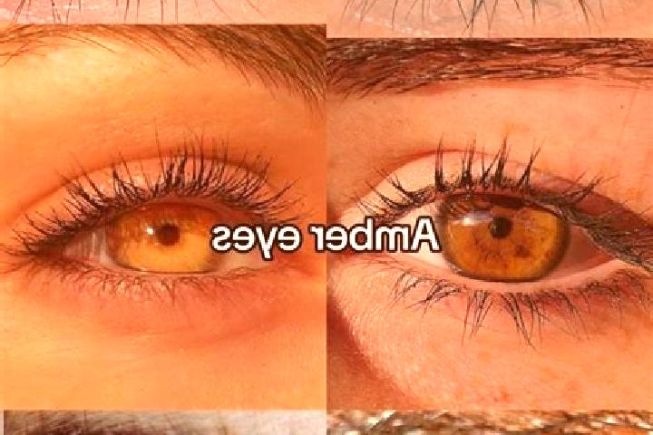 Ellie, 26, a chestnut amber-eyed indian companion based in Alianza Cristiana. Offering BDSM, OWO, CIM, Overnight, Party Girl. Available for incall and outcal...