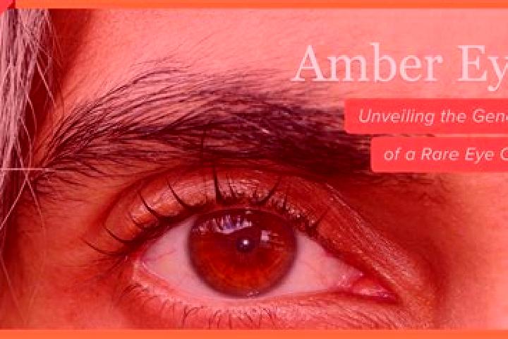 Ellie, 26, a red amber-eyed mixed companion based in Goessnitz. Offering Tantra, Striptease, 69. Available for incall and outcall, overnight bookings available.