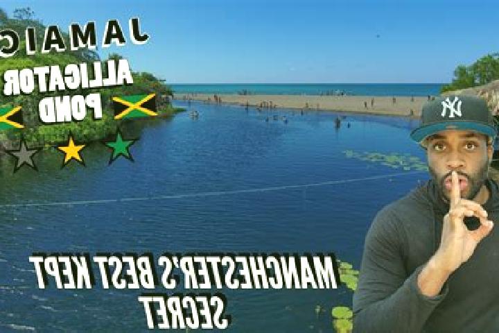 Ellie, 26 — Escort in Alligator Pond, Jamaica