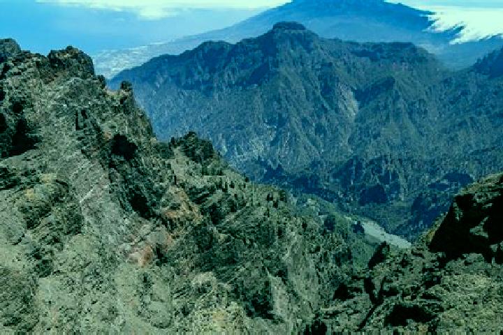 Ellie, 26 — Escort in La Palma Uno, Mexico
