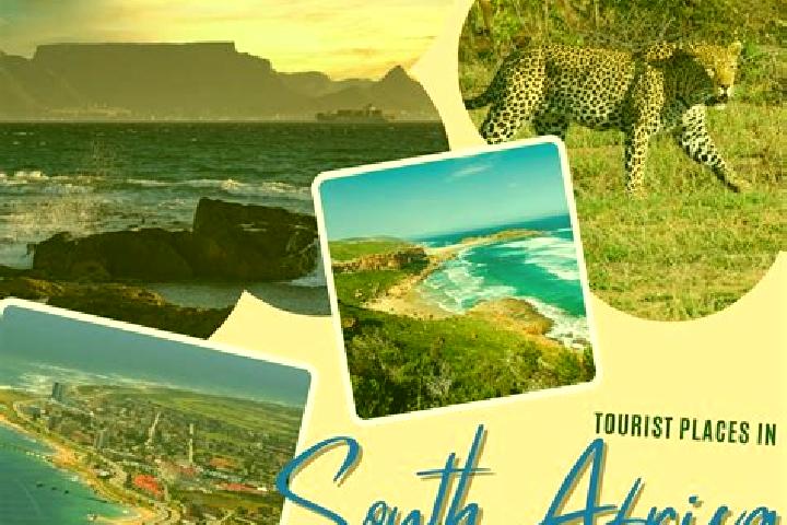 Ellie, 26 — Escort in Middelplaas, South Africa