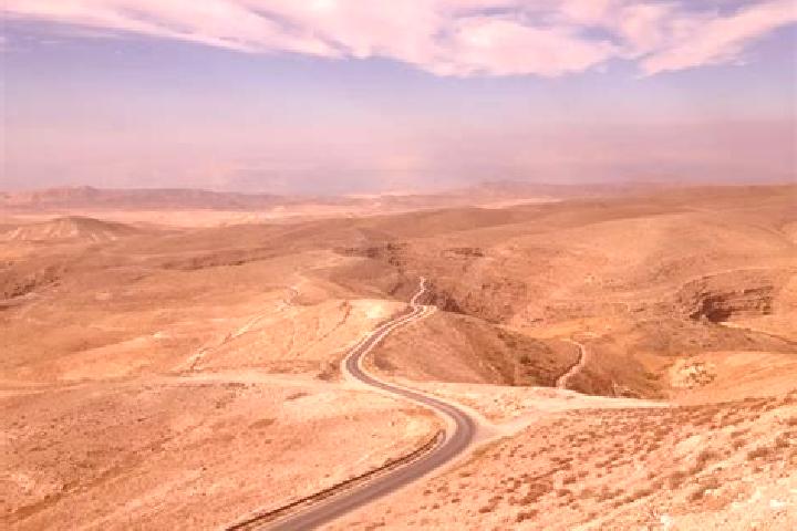 Ellie, 27 — Escort in Dura, Palestine