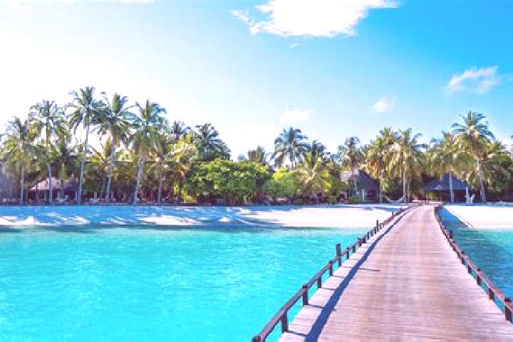 Ellie, 27 — Escort in Mataura, French Polynesia