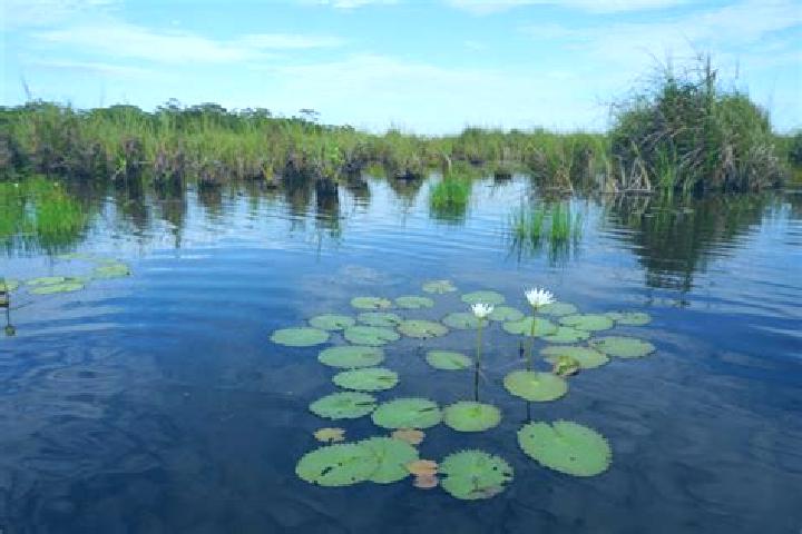 Ellie, 27 — Escort in Pantanal, Mexico