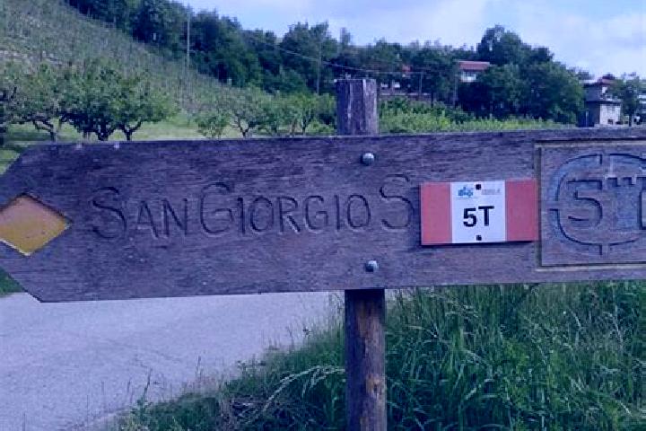 Ellie, 27 — Escort in San Giorgio Scarampi, Italy