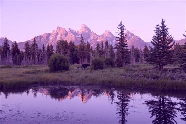 Ellie, 27 — Escort in Teton, United States