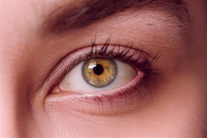 Ellie, 28, a auburn hazel-eyed mixed companion based in Fishtown. Offering GFE, Dinner Date, BDSM, Tantra. Available for incall and outcall, overnight bookin...