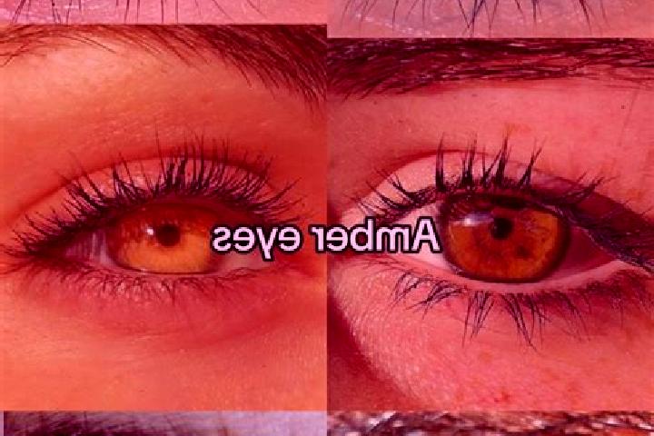 Ellie, 28, a dark blonde amber-eyed slavic companion based in Augst. Offering Girlfriend Experience, CIM, Prostate Massage, Party Girl. Available for incall ...