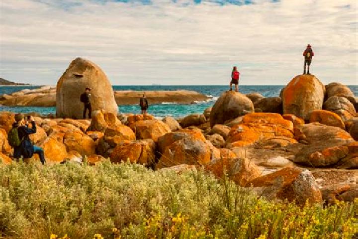 Ellie, 28 — Escort in Flinders, Australia