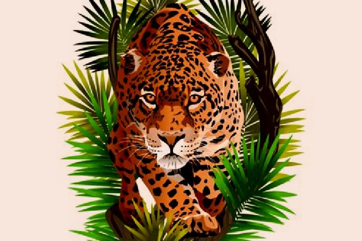 Ellie, 28 — Escort in Onca, Brazil