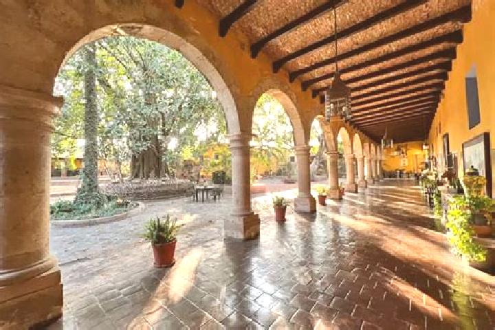 Ellie, 28 — Escort in San Jose la Hacienda, Mexico