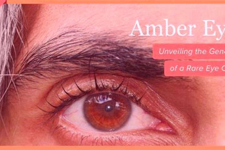 Ellie, 29, a black amber-eyed indian companion based in Vilalba dels Arcs. Offering BDSM, Overnight, Roleplay, Party Girl. Available for incall and outcall, ...