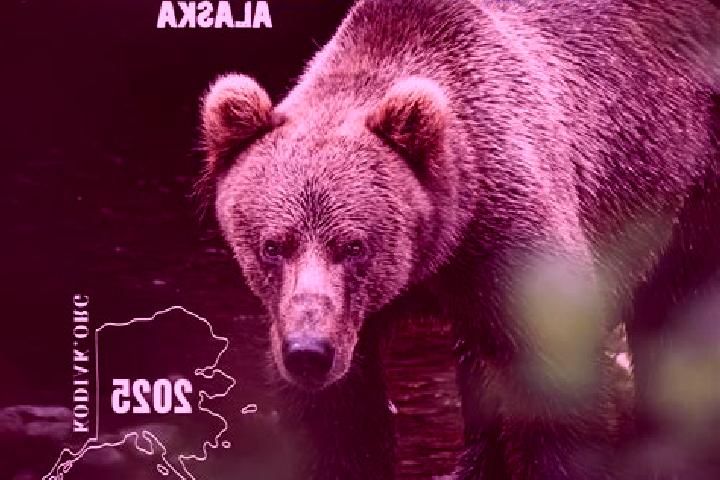 Ellie, 29 — Escort in Kodiak, United States