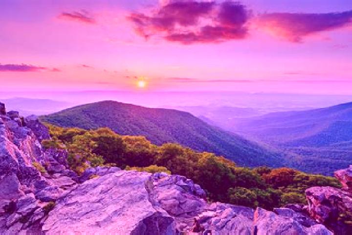 Ellie, 29 — Escort in Pilot Mountain, United States