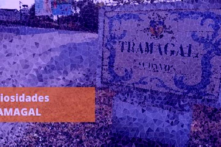 Ellie, 29 — Escort in Tramagal, Portugal