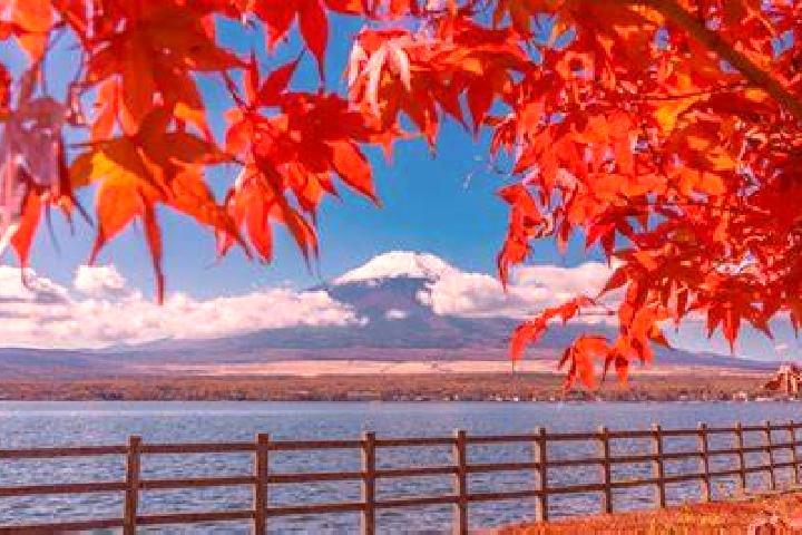 Ellie, 29 — Escort in Tsukubamirai, Japan