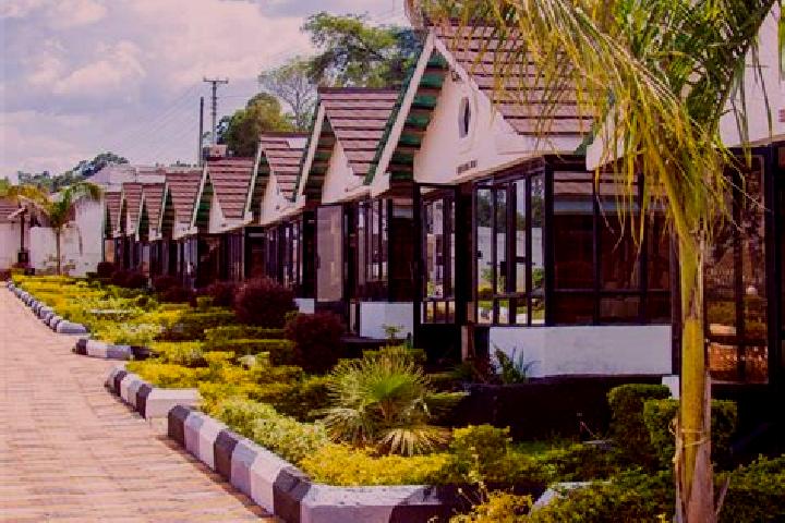 Ellie, 29 — Escort in Webuye, Kenya