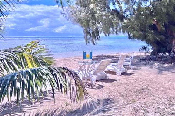 Ellie, 30 — Escort in Afareaitu, French Polynesia