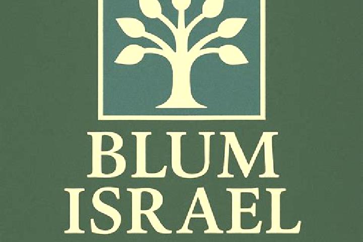 Ellie, 30 — Escort in Kfar Blum, Israel