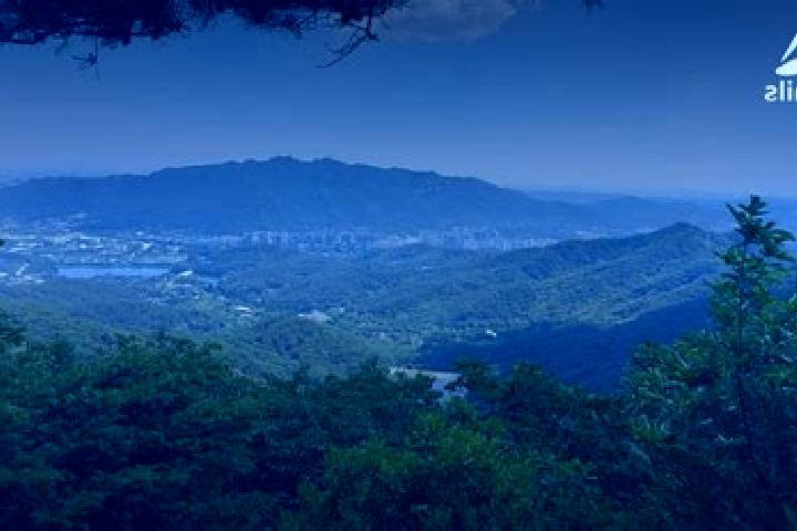 Ellie, 30 — Escort in Uiwang, South Korea
