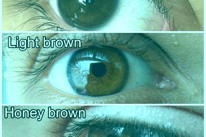 Ellie, 31, a chestnut amber-eyed slavic companion based in Novi Slankamen. Offering Prostate Massage, Travel Companion, Deep French Kissing, Roleplay. Availa...
