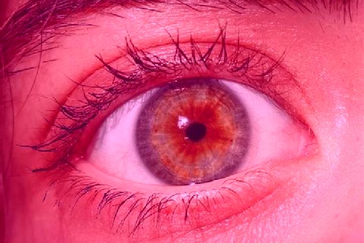 Ellie, 31, a red hazel-eyed european companion based in Gundelsheim. Offering Couples, Girlfriend Experience, Domination, Tantra, Fetish. Available for incal...