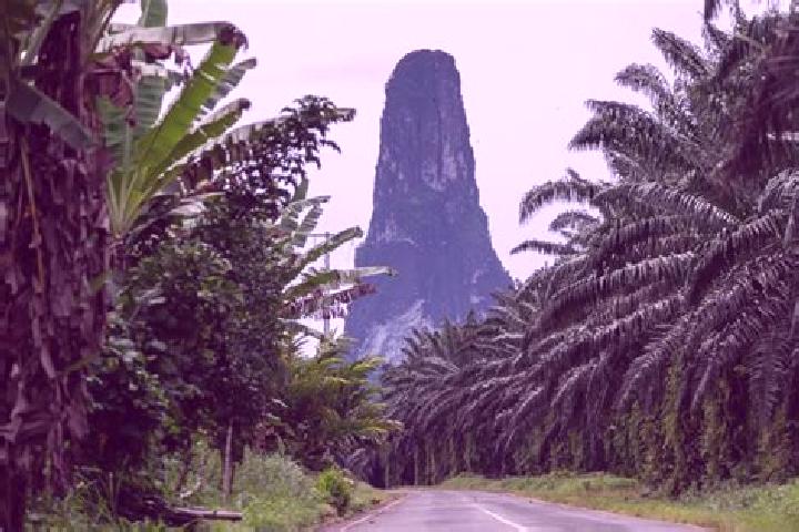 Ellie, 31 — Escort in Boa Entrada, Sao Tome and Principe