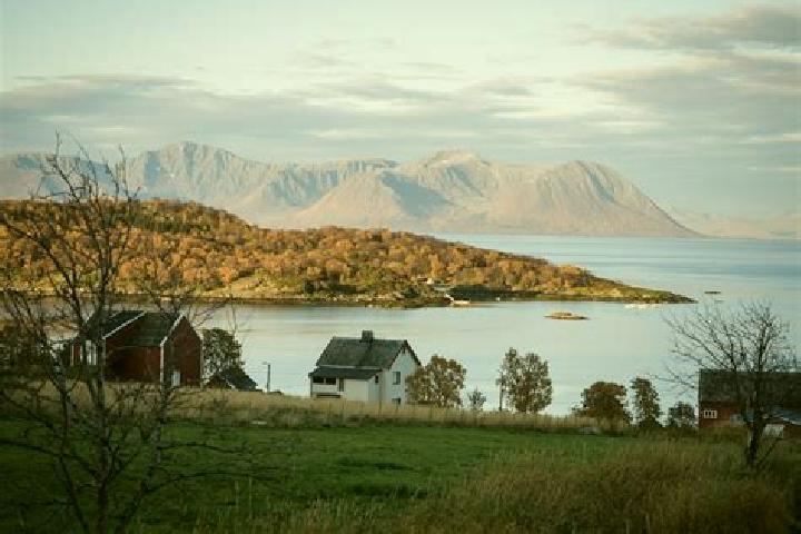 Ellie, 31 — Escort in Bygland, Norway