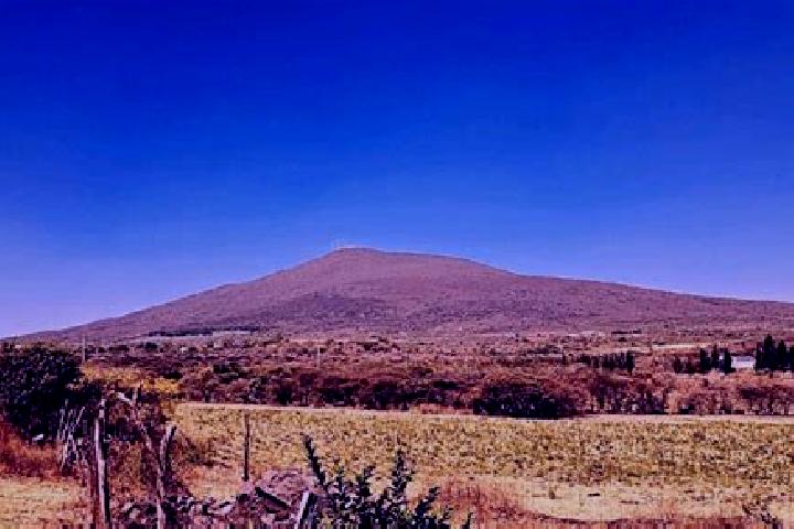 Ellie, 31 — Escort in Purisima de Cerro Grande, Mexico