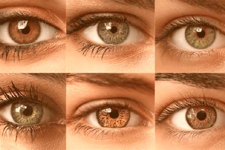 Ellie, 32, a red hazel-eyed middle eastern companion based in Belen. Offering A-Level, Roleplay, CIM, Tantra. Available for incall and outcall, overnight boo...