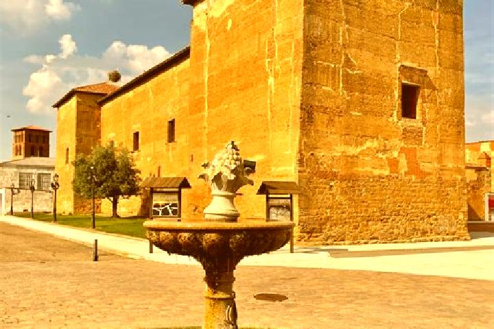 Ellie, 32 — Escort in Toral de los Guzmanes, Spain