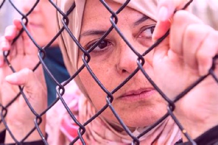 Ellie, 33 — Escort in Mirkah, Palestine